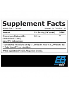 Protein Boot (Refurbished A+) 2