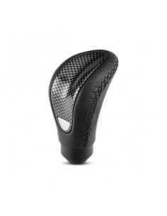 Pomo de la Palanca de...