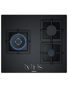 Gasplatte Siemens AG...