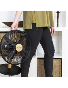 Ventilador de Sobremesa... 2