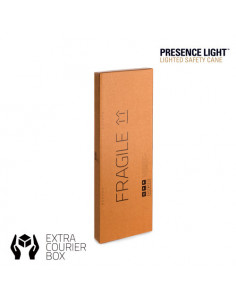 Presence Light Gehhilfe 2