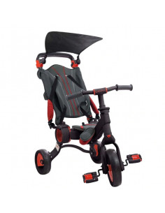 Triciclo Toimsa Galileo...