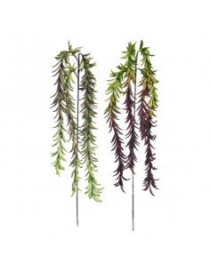 Dekorative Blume Dekodonia...