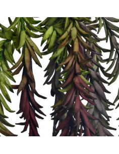 Dekorative Blume Dekodonia... 2