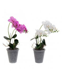 Dekorative Blume Dekodonia...