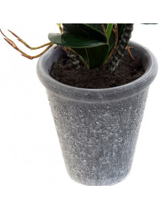 Dekorative Blume Dekodonia... 2