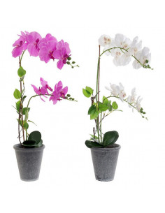 Dekorative Blume Dekodonia...