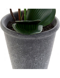 Dekorative Blume Dekodonia... 2