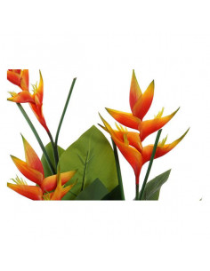 Planta Decorativa Dekodonia...