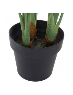 Planta Decorativa Dekodonia... 2