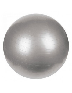 Pelota de yoga Gris (65 cm)