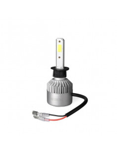 Autoglühbirne Osram 12 V 55...