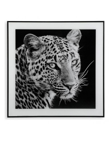 Cuadro Cristal (2 x 50 x 50 cm) Leopardo
