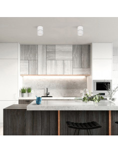 Aplique de Techo Ledkia... 2