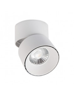 Aplique de Techo Ledkia...