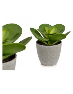 Maceta Hoja Grande Redonda...