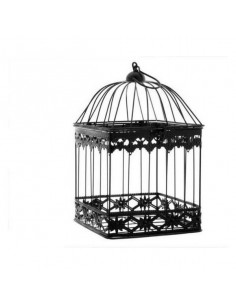 Jaula Cuadrada Negra (18 x...