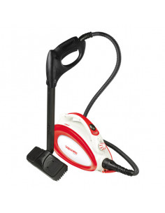 Dampfreiniger POLTI...