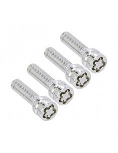 Tornillos Antirrobo BC...