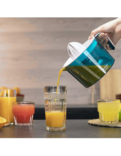 Elektrischer Entsafter... 2