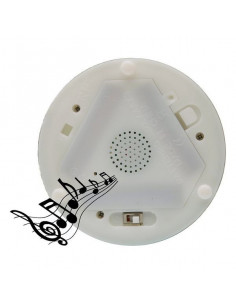 Botella LED Cristal Música 2