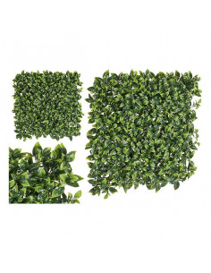 Dekorationspflanze...