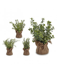 Planta Decorativa Blanca...