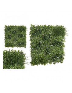 Dekorationspflanze grün...