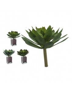 Planta Decorativa Hojas 3...