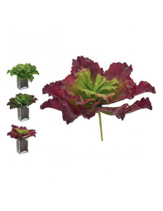 Planta Decorativa Hojas 3...