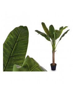 Planta Decorativa Hojas (40...