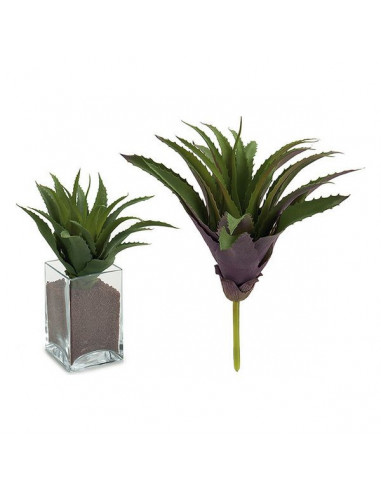 Dekorationspflanze (25 x 27 x 25 cm)