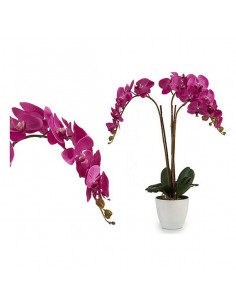 Maceta Fucsia Blanca (44 x...