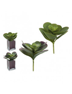 Planta Decorativa Hojas (18...