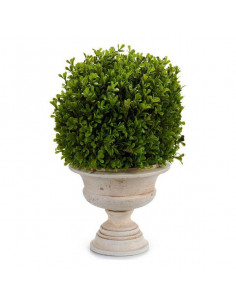 Planta Decorativa (33 x 37...