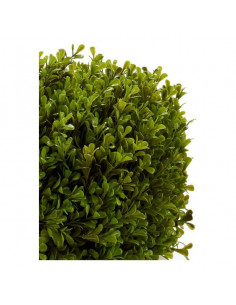 Planta Decorativa (33 x 37... 2