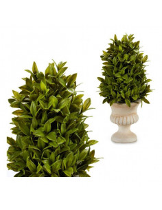 Planta Decorativa (20 x 33... 2