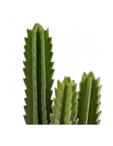 Cactus Plástico Cactus (12 x 32,5 x...