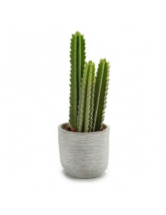 Cactus Plástico Cactus (12... 2