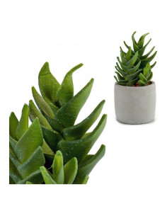 Cactus Plástico Cactus...