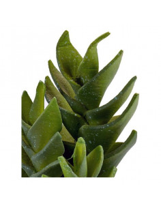 Cactus Plástico Cactus... 2