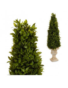 Planta Decorativa (20 x 60...