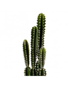 Kaktus Kunststoff Kaktus... 2