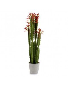 Cactus Plástico Hojas... 2