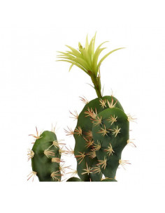 Cactus Plástico Blanca... 2