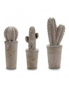 Cactus Piedra Cactus 3 (13...