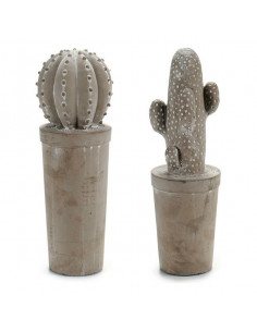 Kaktus Stein Kaktus 3 (13 x... 2