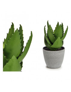 Planta Decorativa Aloe Vera...