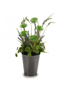 Dekorationspflanze... 2