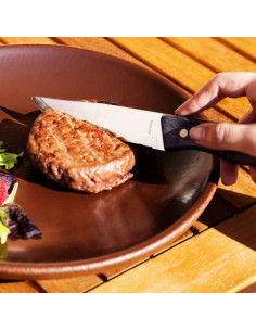 Steakmesser Amefa Hercule XL 2